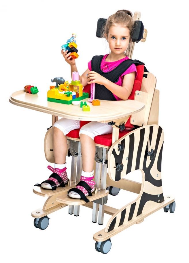 The Rehabilitation Chair Zebra