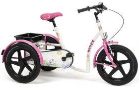 Tricycle for children with special needs Vermeiren HAPPY 