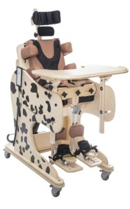 DALMATIAN Multifunctional Chair & Stander